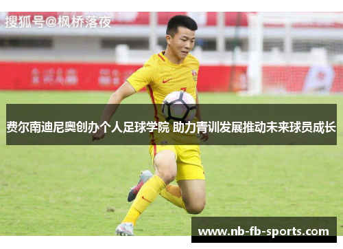 费尔南迪尼奥创办个人足球学院 助力青训发展推动未来球员成长