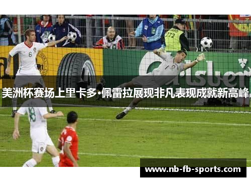 美洲杯赛场上里卡多·佩雷拉展现非凡表现成就新高峰