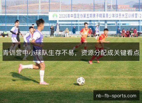 青训营中小球队生存不易,资源分配成关键看点 青训营中小球队生存不易,资源分配成关键看点